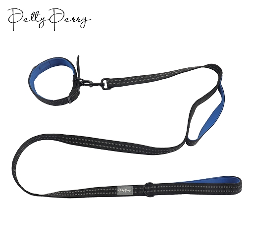 Outdoor Training Pet Leash and Adjustable Collar